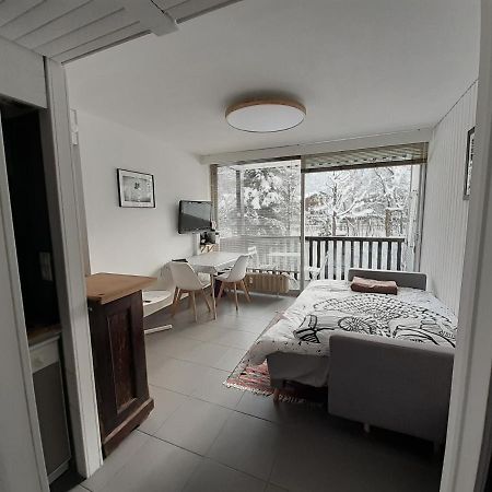 Studio Quartier Calme Centre Ville Vue Mont Blanc Chamonix Luaran gambar