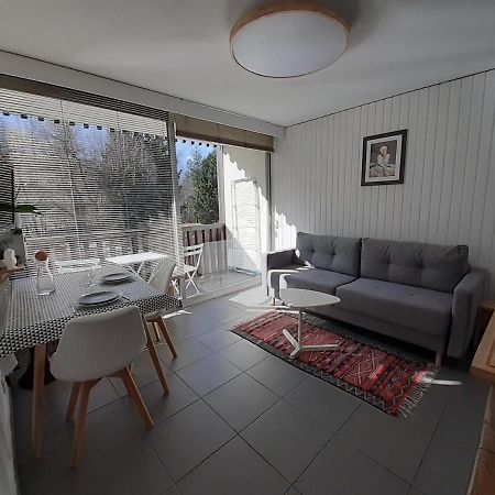 Studio Quartier Calme Centre Ville Vue Mont Blanc Chamonix Luaran gambar