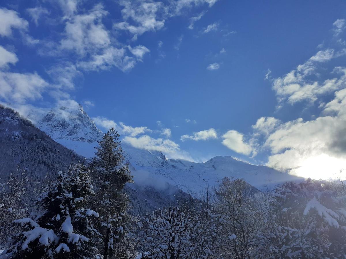 Studio Quartier Calme Centre Ville Vue Mont Blanc Chamonix Luaran gambar
