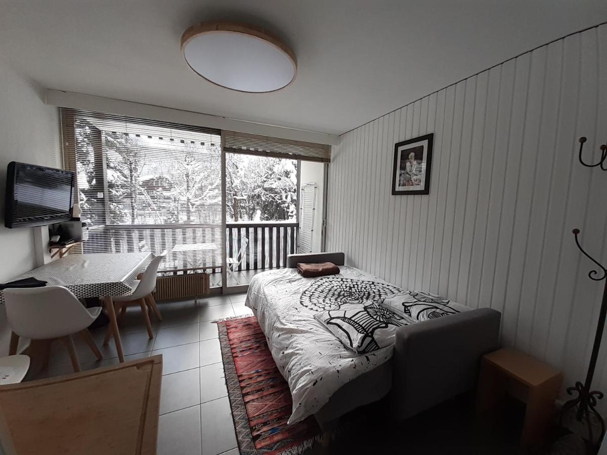 Studio Quartier Calme Centre Ville Vue Mont Blanc Chamonix Luaran gambar