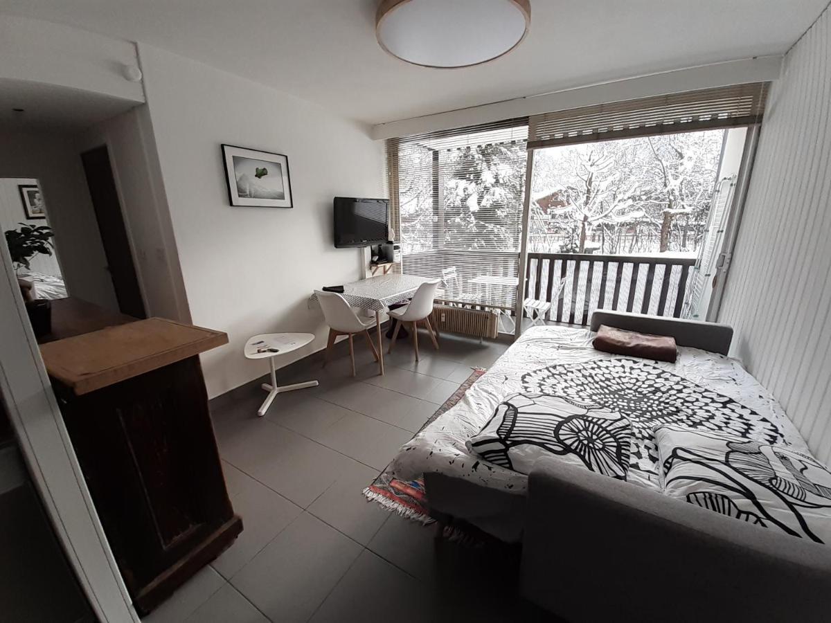 Studio Quartier Calme Centre Ville Vue Mont Blanc Chamonix Luaran gambar