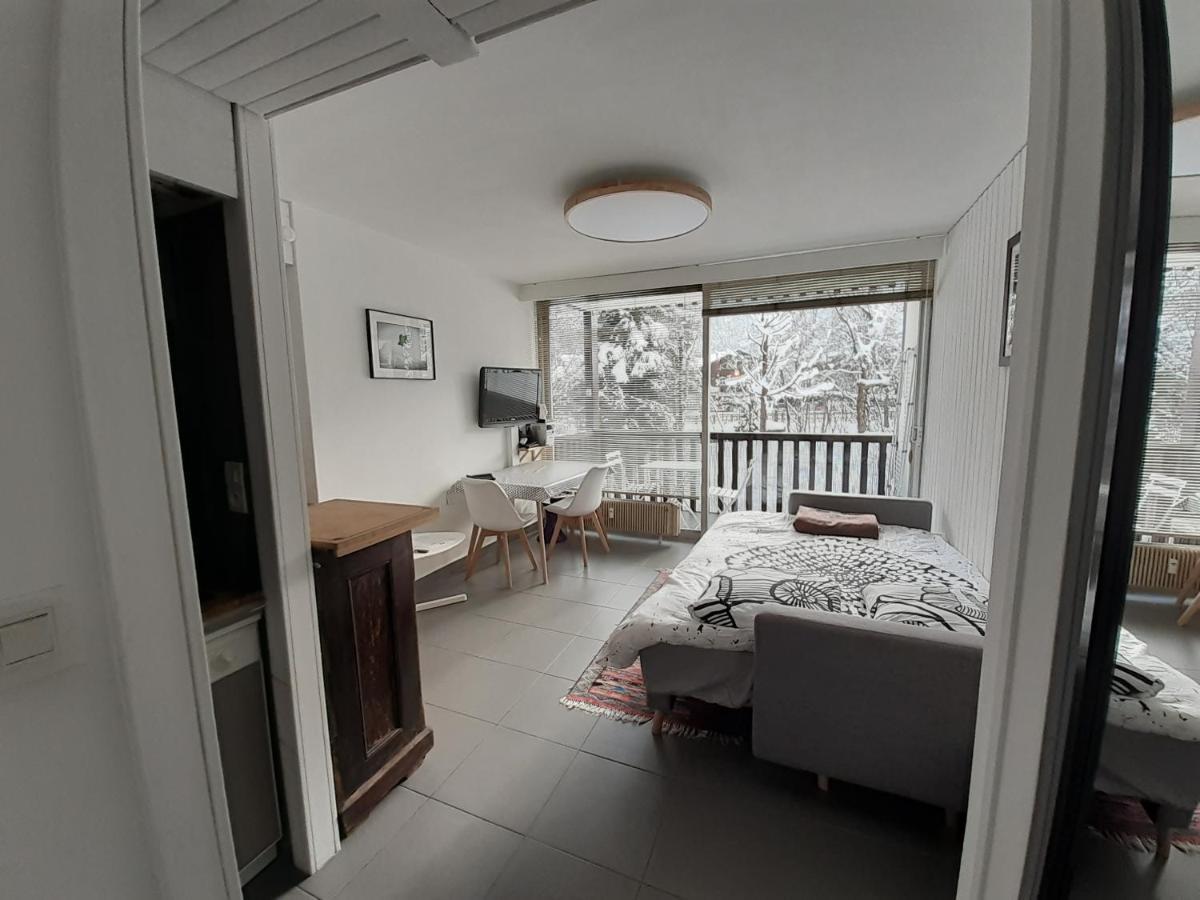 Studio Quartier Calme Centre Ville Vue Mont Blanc Chamonix Luaran gambar
