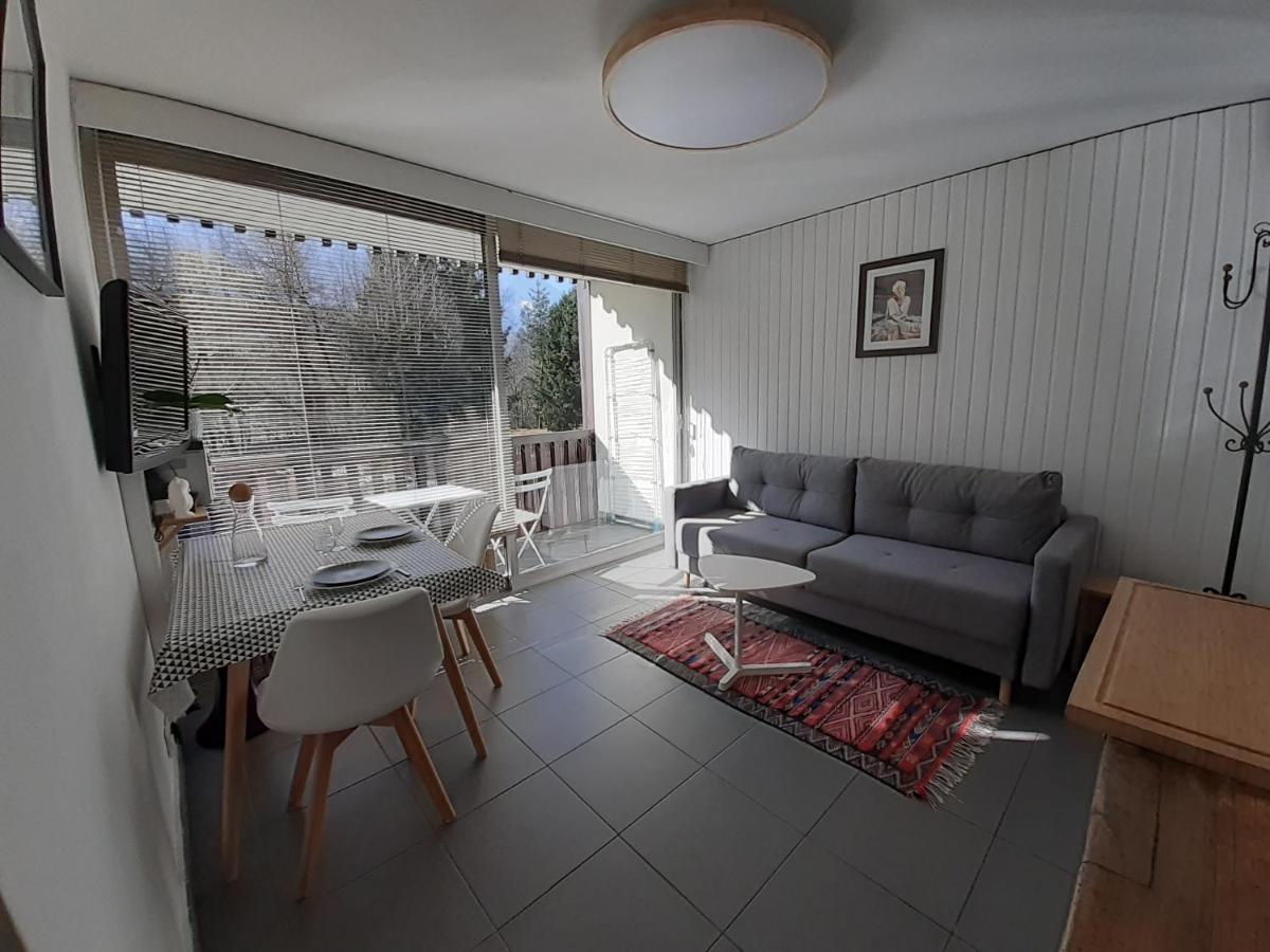 Studio Quartier Calme Centre Ville Vue Mont Blanc Chamonix Luaran gambar